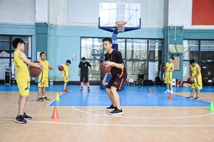 如何找到专业的篮球协调训练师?——全面指南与实用建议